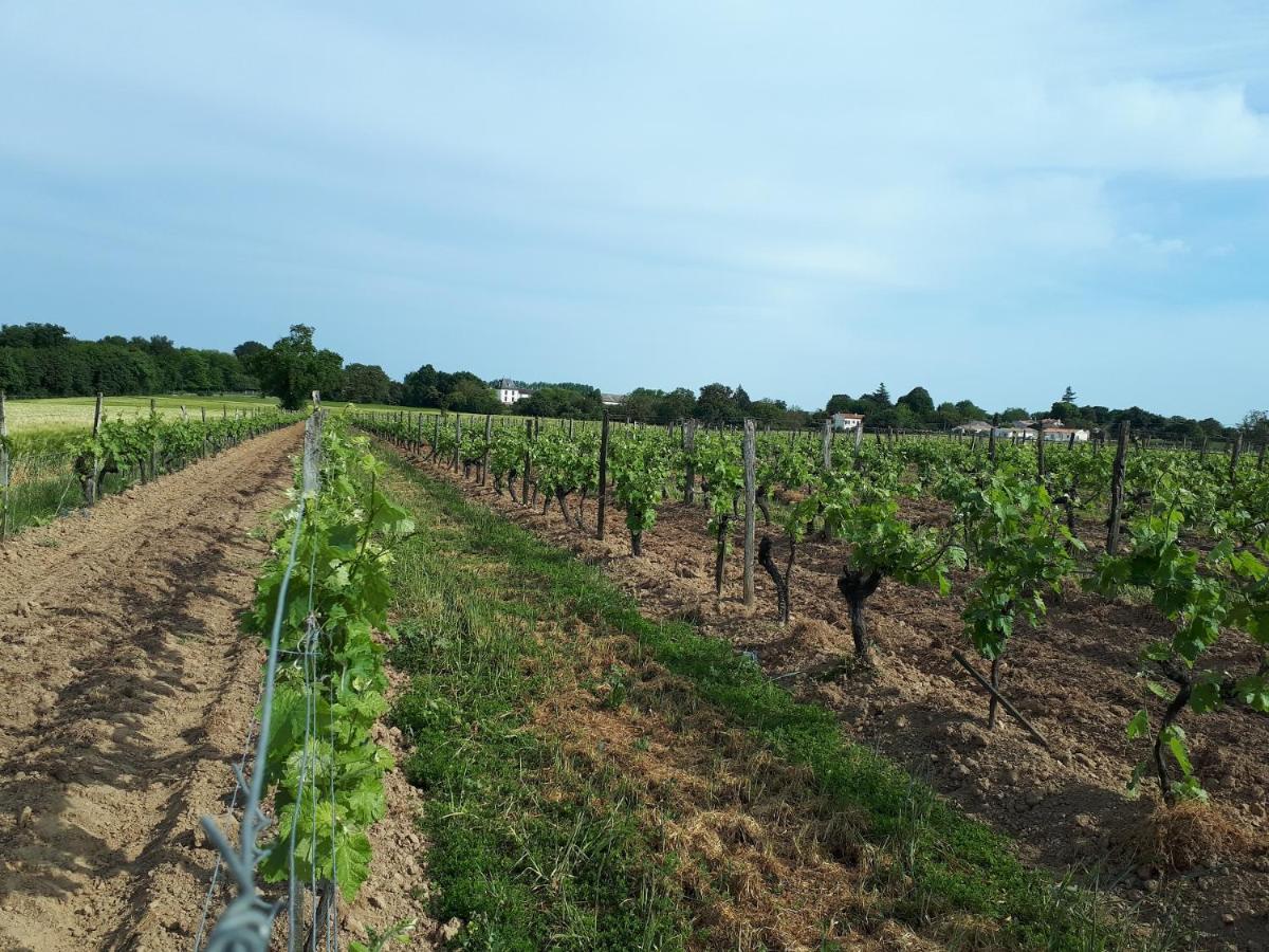 Escapade Entre Vignes Et Mer Corme-Royal Zewnętrze zdjęcie